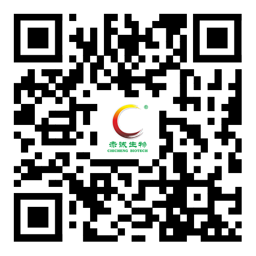 手机站二维码
