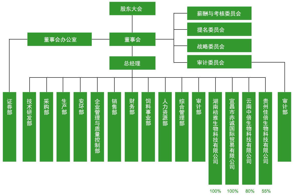 组织结构