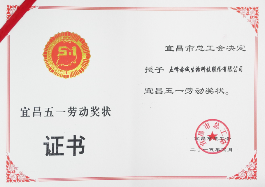五一劳动奖状